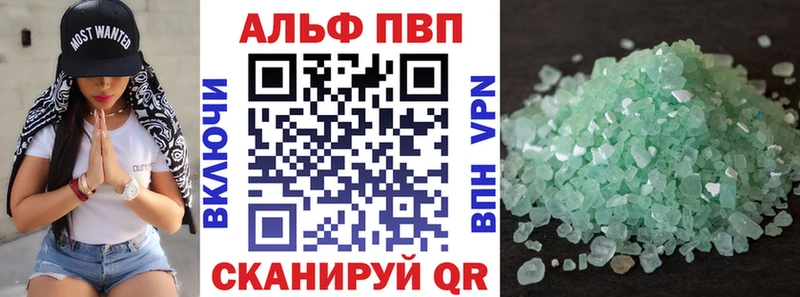 Alfa_PVP СК Кострома